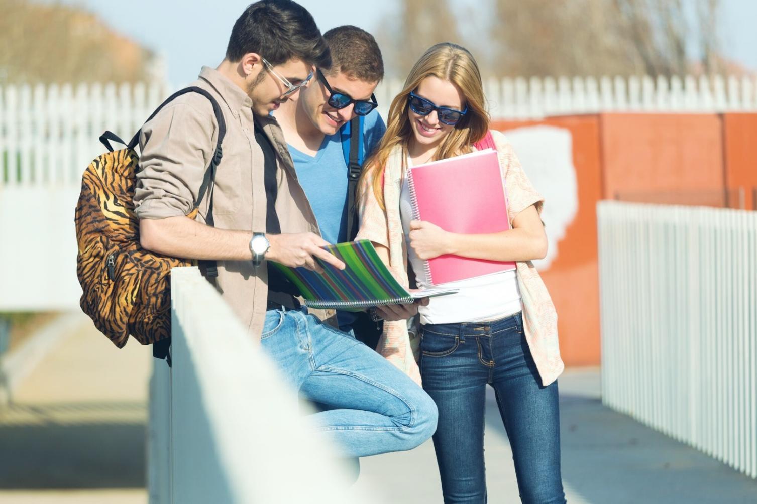 Material de trabajo usado durante las sesiones de coaching